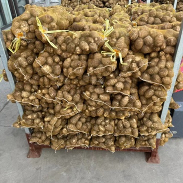 优质毛芋头种植合作社，芋头大量上市，支持电商市场全国发货