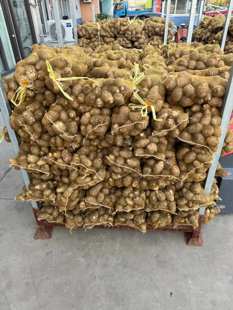 优质毛芋头种植合作社，芋头大量上市，支持电商市场全国发货