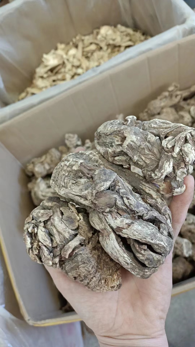 压片当归，一手货源，品质优良，量大从优，欢迎电话联系。