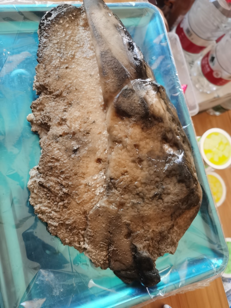 活太岁土