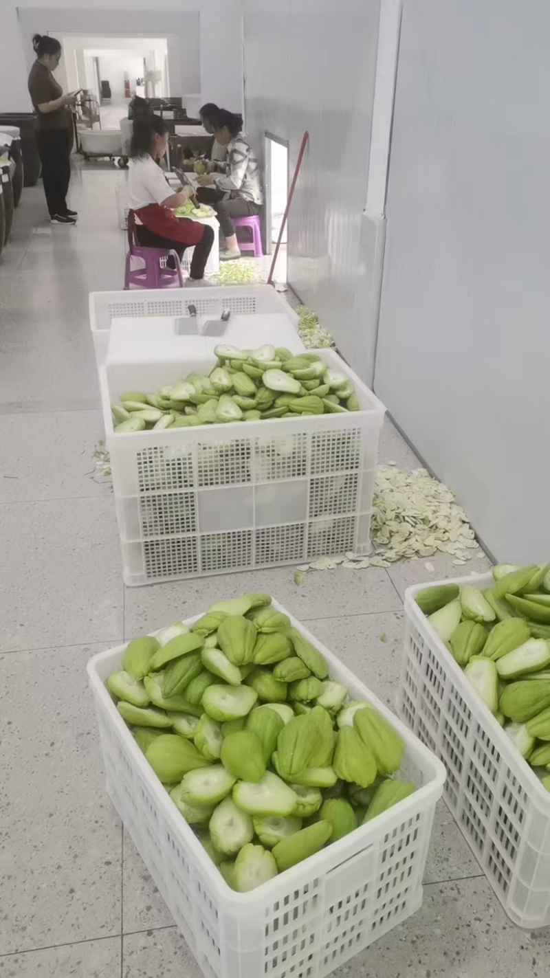 【泡菜】佛手瓜腌菜自家工厂生产视频看货欢迎采购联系