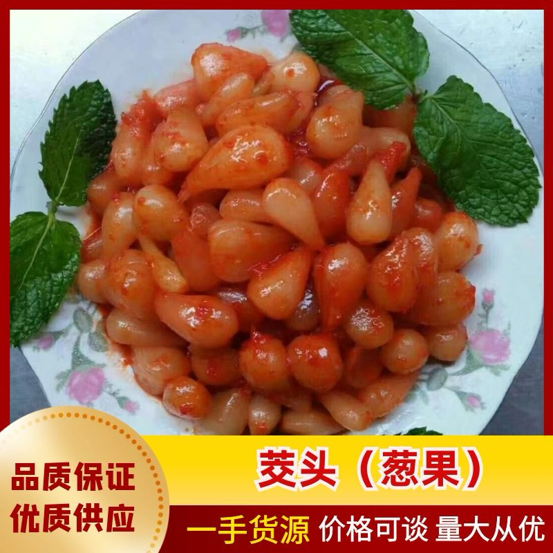 贵州茭头（葱果）大量上市服务齐全视频看货欢迎咨询