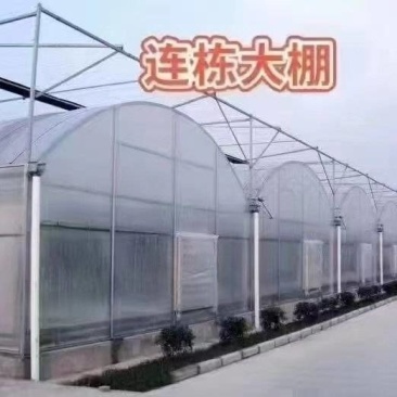 联动大棚八米开间四米跨度，每平方米40