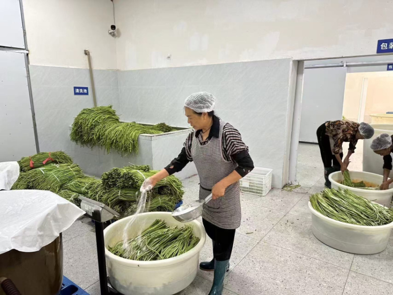 贵州黔南酸豆角源头生产价格实惠品质保障欢迎采购