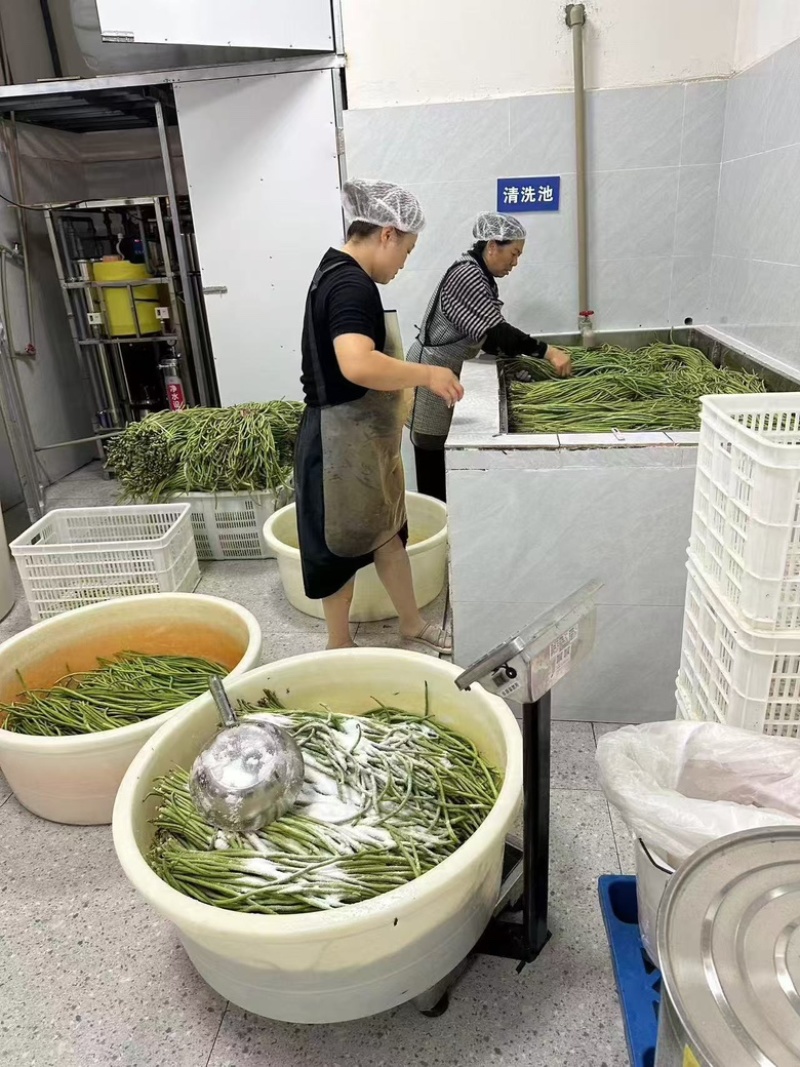 贵州黔南酸豆角源头生产价格实惠品质保障欢迎采购