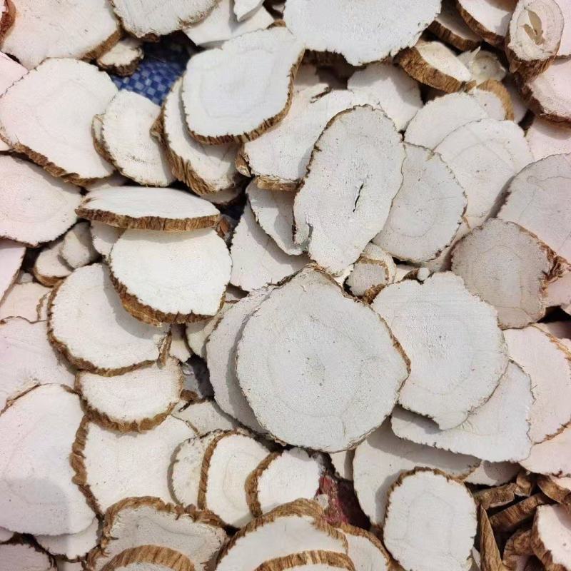 精品无硫白芷大量上市质量保证量大价优一手货源欢