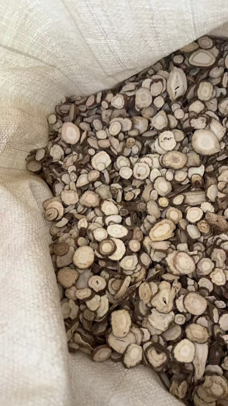 精品无硫白芷大量上市质量保证量大价优一手货源欢