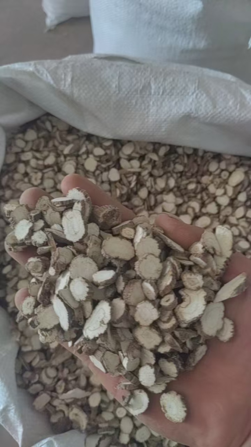 精品无硫白芷大量上市质量保证量大价优一手货源欢