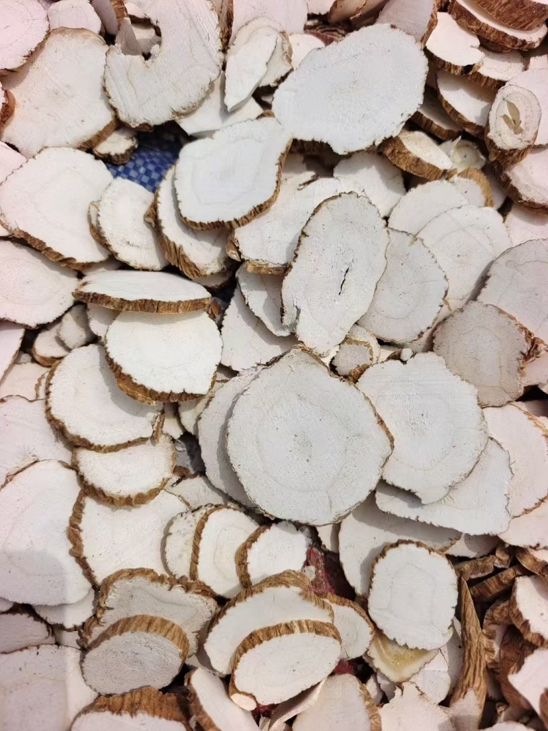精品无硫白芷大量上市质量保证量大价优一手货源欢