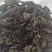 【生地片】原产地直供一手货源诚信经营欢迎下单