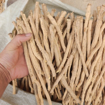 甘肃关防风节，精品货，人工筛选剪切，无硫？