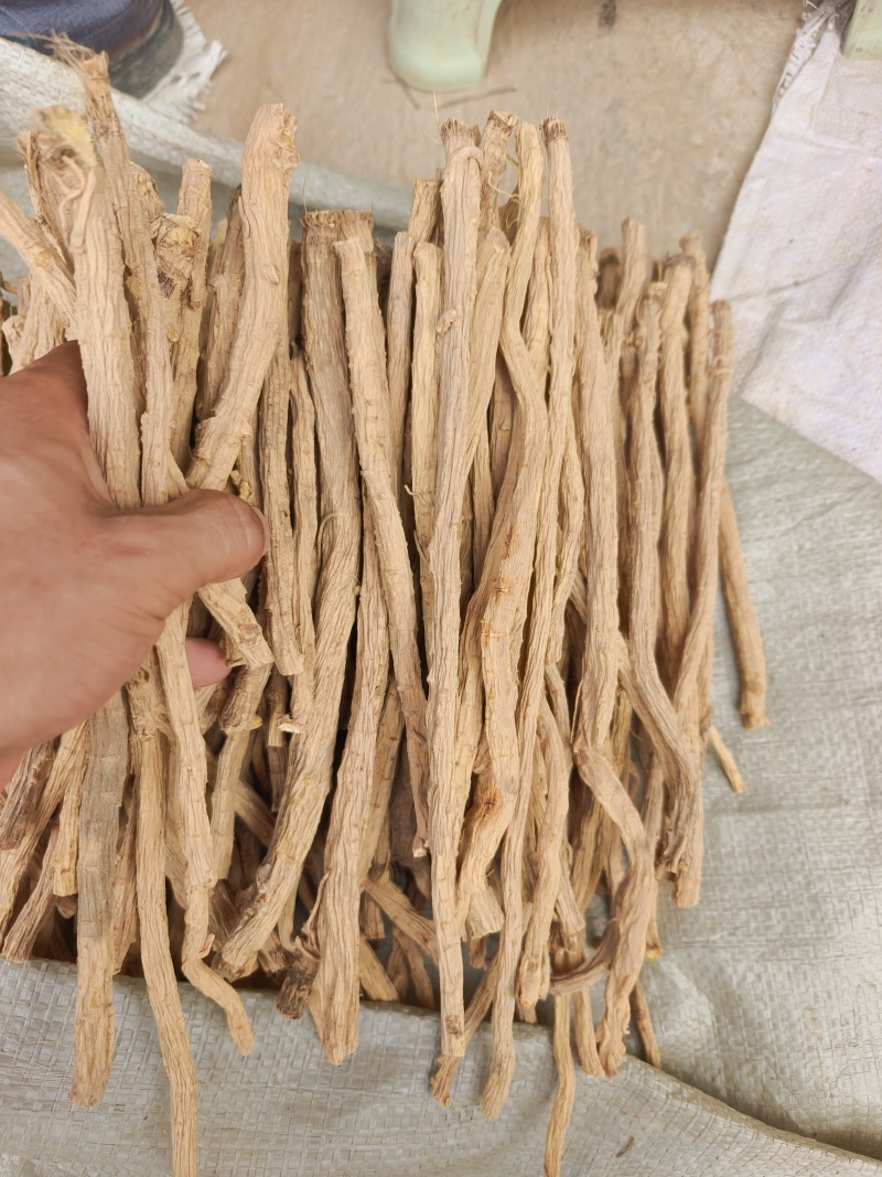 甘肃关防风节，精品货，人工筛选剪切，无硫？
