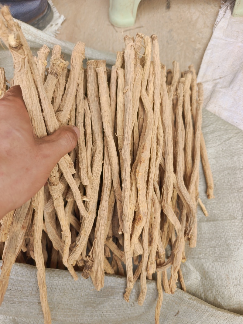 甘肃关防风节，精品货，人工筛选剪切，无硫？