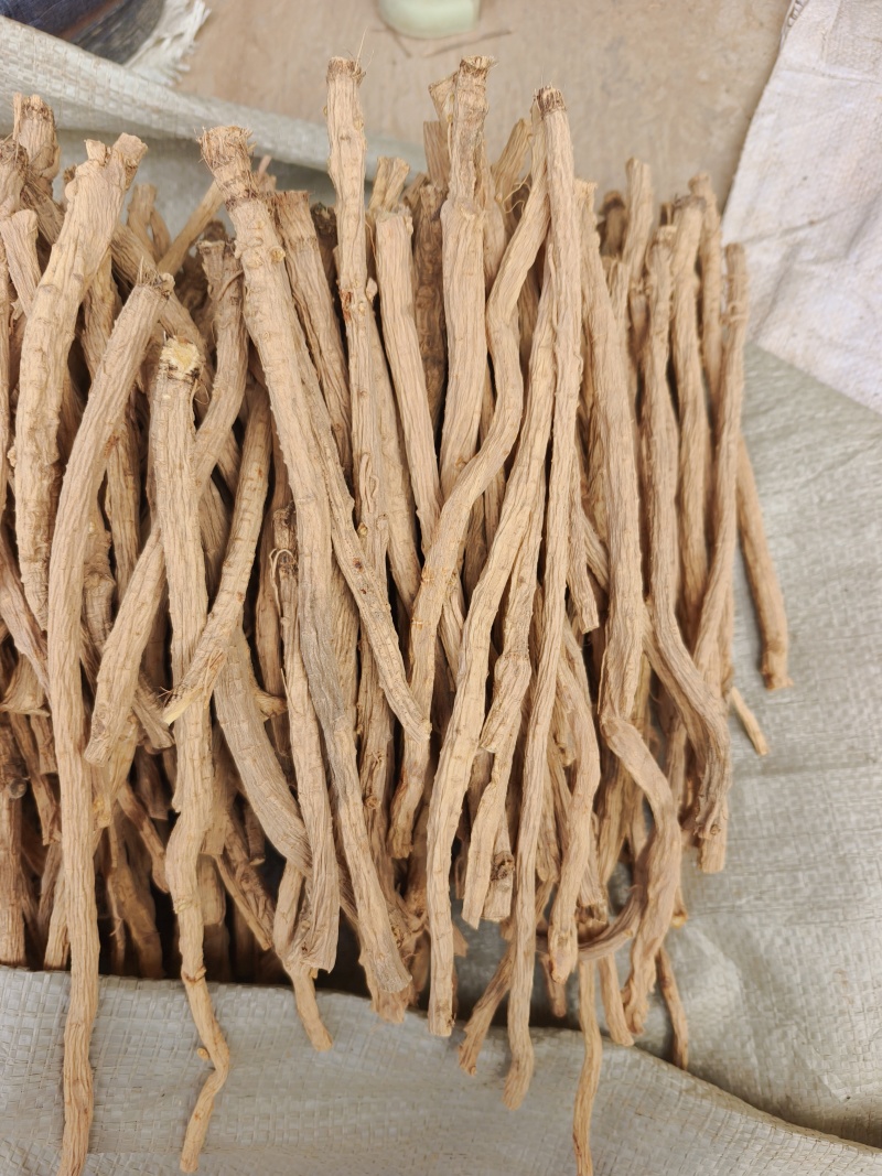 甘肃关防风节，精品货，人工筛选剪切，无硫？