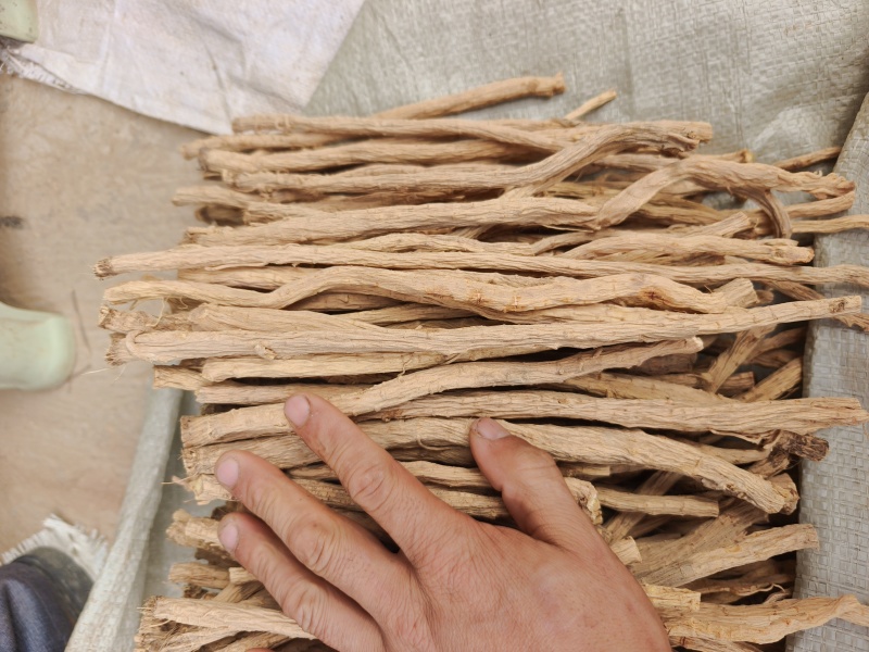 甘肃关防风节，精品货，人工筛选剪切，无硫？