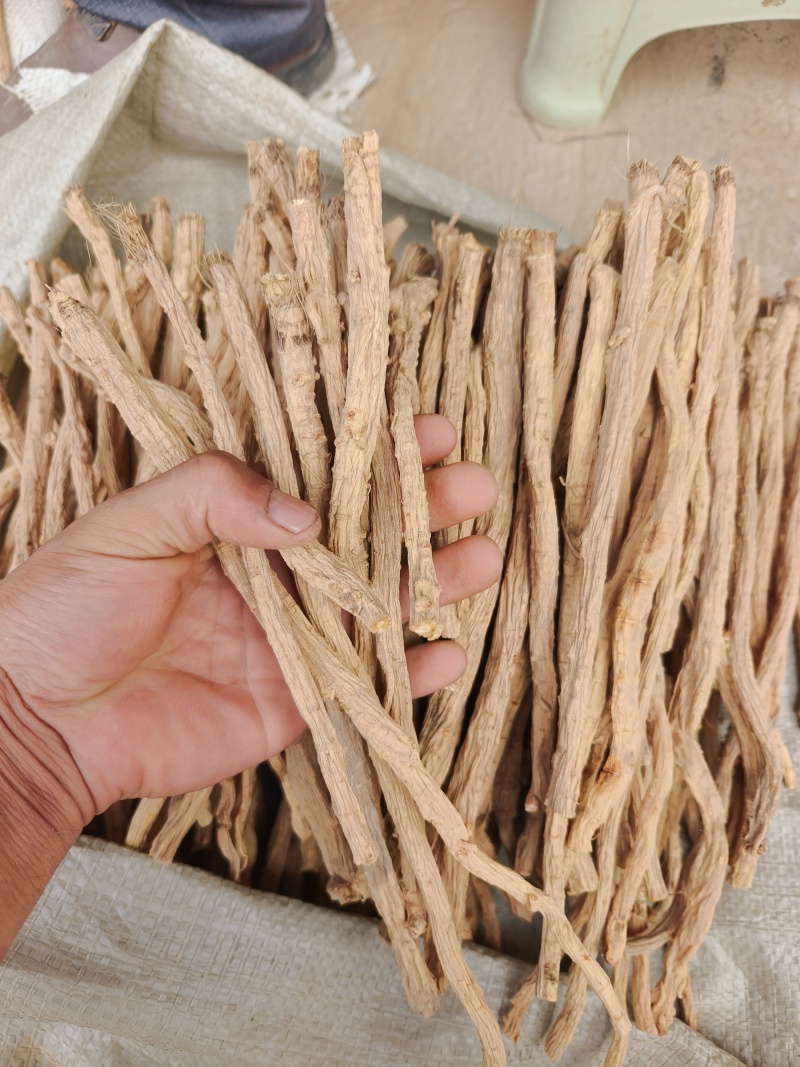 甘肃关防风节，精品货，人工筛选剪切，无硫？