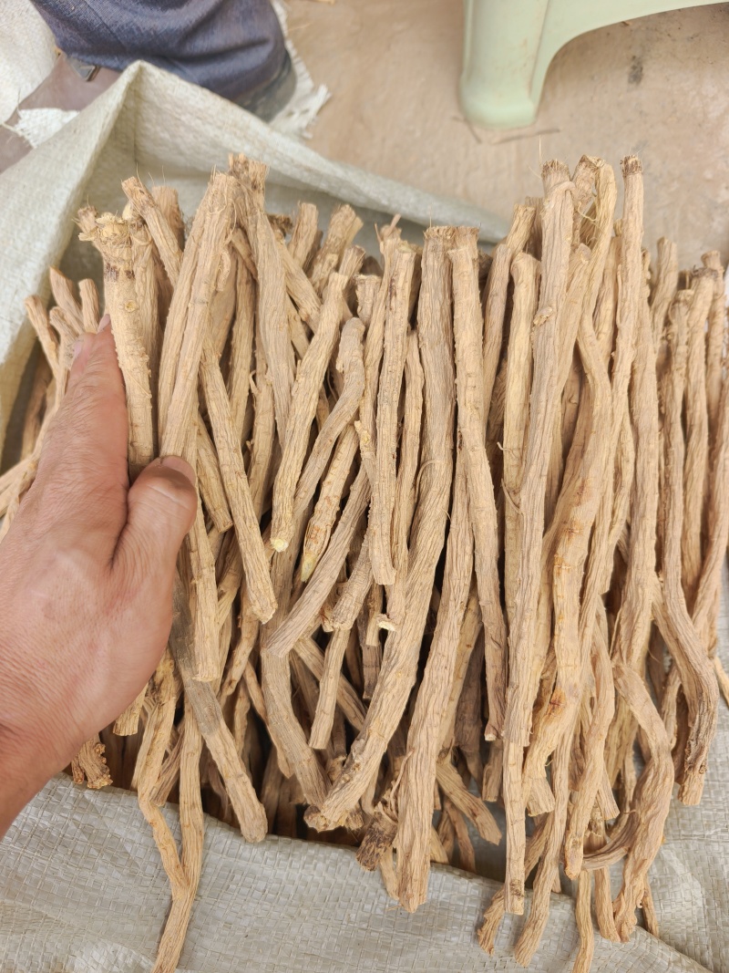 甘肃关防风节，精品货，人工筛选剪切，无硫？