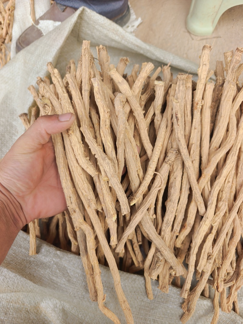 甘肃关防风节，精品货，人工筛选剪切，无硫？