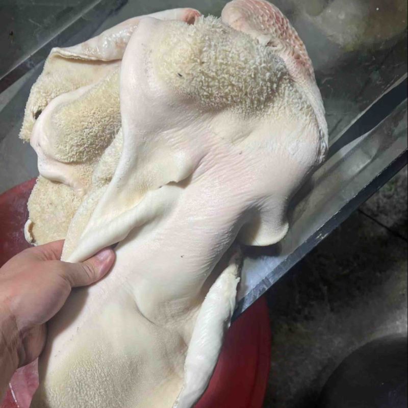 精品牛肚现货出售，干净不打碱不用药水。