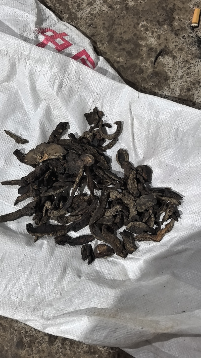 【生地片】原产地直供一手货源诚信经营欢迎下单