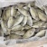 泥猛鱼柠檬鱼120/140没件