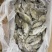 泥猛鱼柠檬鱼120/140没件
