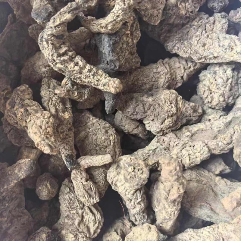 [牛]【精品】生地黄无硫规格齐全生地中药材
