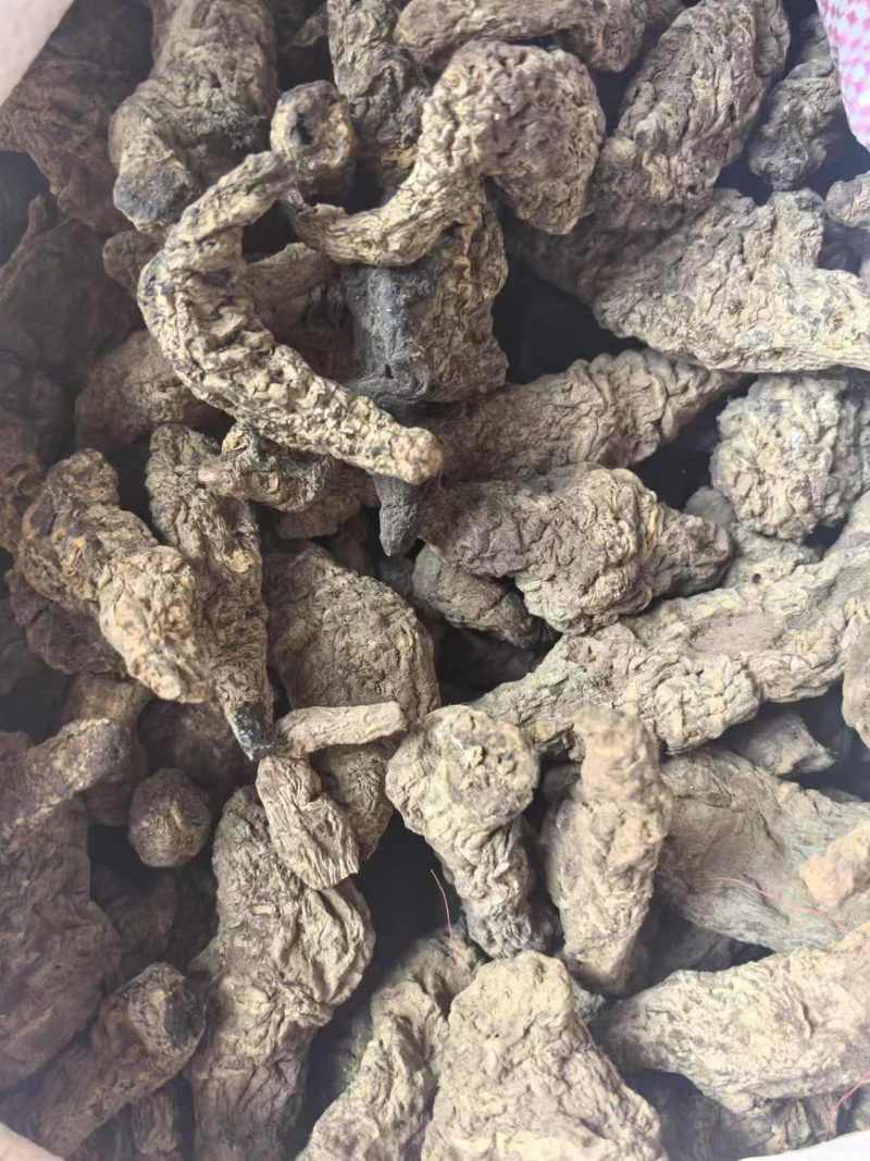 [牛]【精品】生地黄无硫规格齐全生地中药材