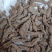 [牛]【精品】生地黄无硫规格齐全生地中药材