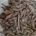 [牛]【精品】生地黄无硫规格齐全生地中药材