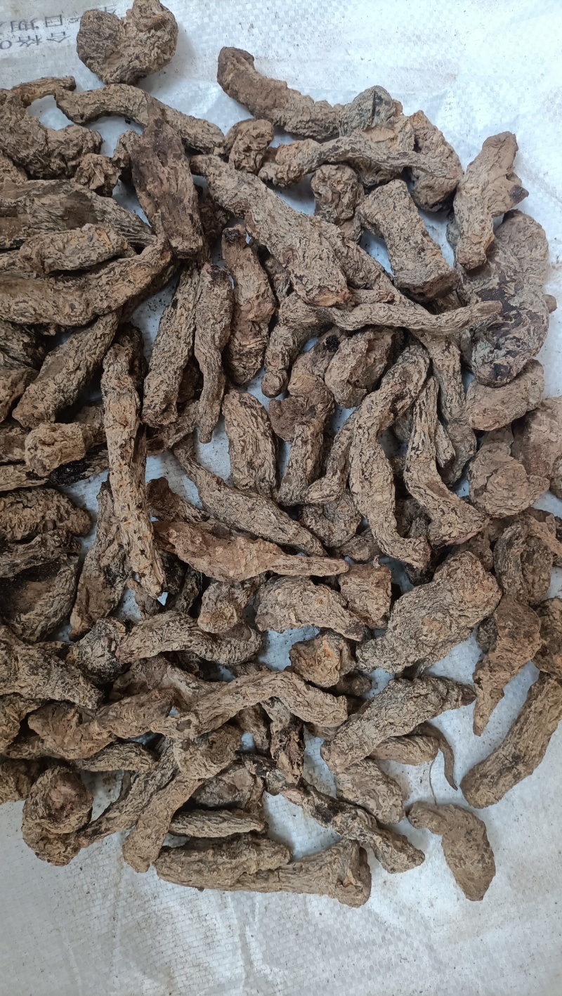 [牛]【精品】生地黄无硫规格齐全生地中药材