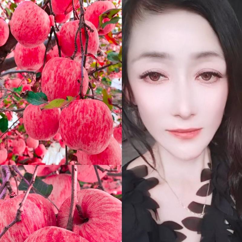 山东早生富士红将军苹果脆甜可口山区的货颜色好亮度好