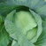 [扁甘蓝精品]京丰一手货源，产地直发，手感菜，宣菜！