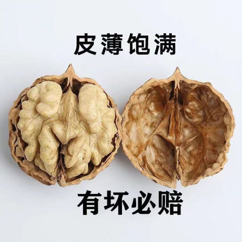 四川核桃大凉山核桃干核桃