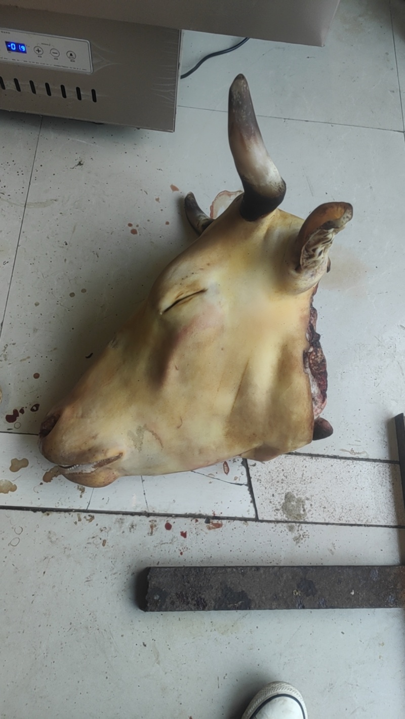 精品牛头肉，价格下调，满满的胶原蛋白，好吃又实惠