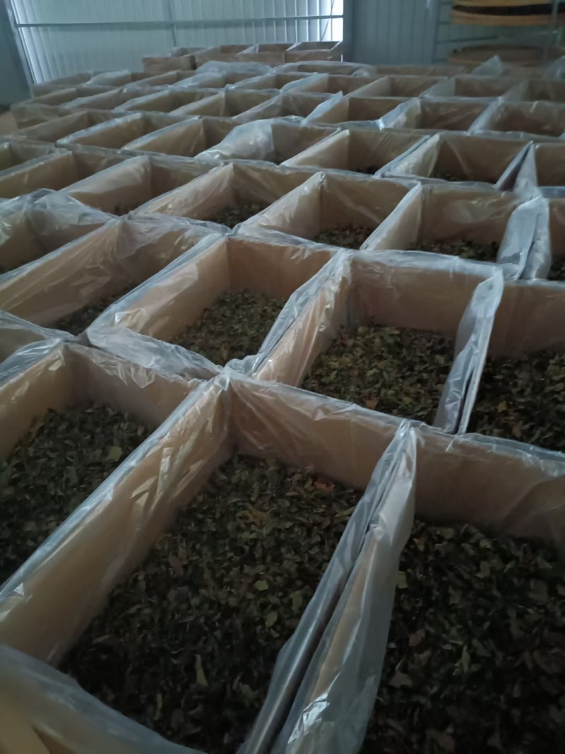 云南临沧产区普洱茶生普散茶