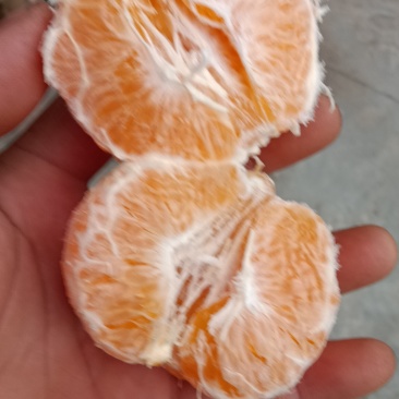 蒲江县耙耙柑！味甜多汁！化渣爽口！