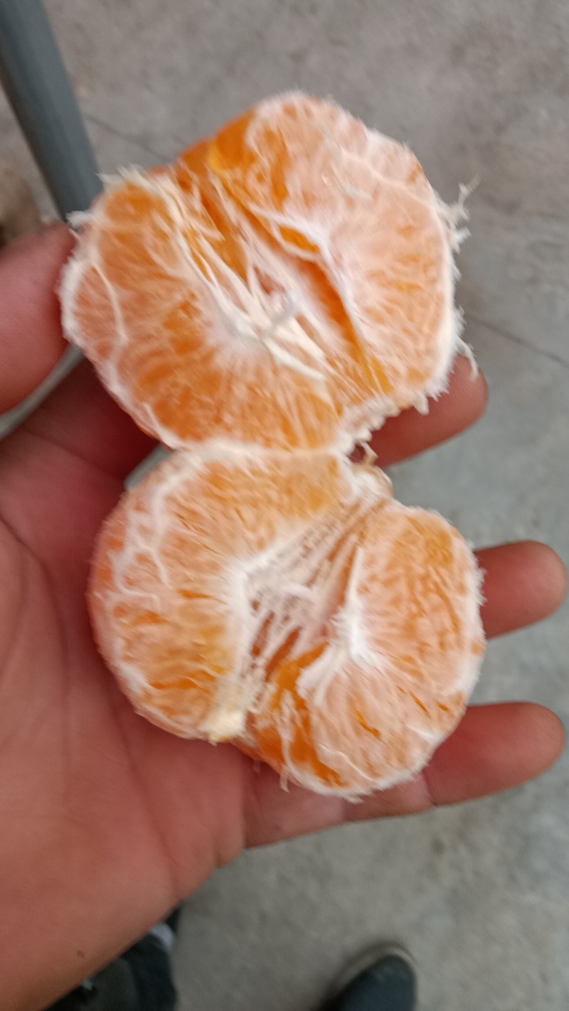 蒲江县耙耙柑！味甜多汁！化渣爽口！