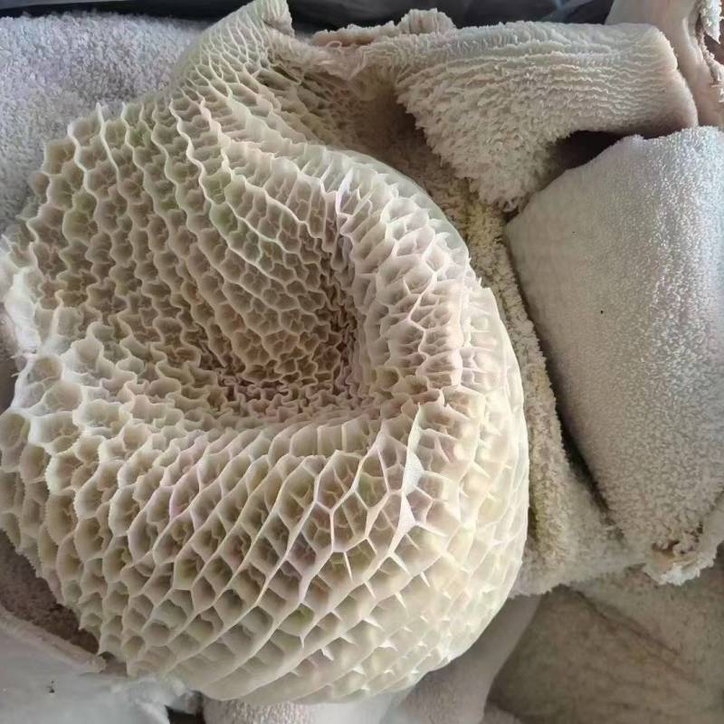 国产全熟牛肚，精修无油，保证纯干无水发，水褪牛肚。