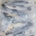 三去鲈鱼300-400克单条独立包装。价格电话可议。