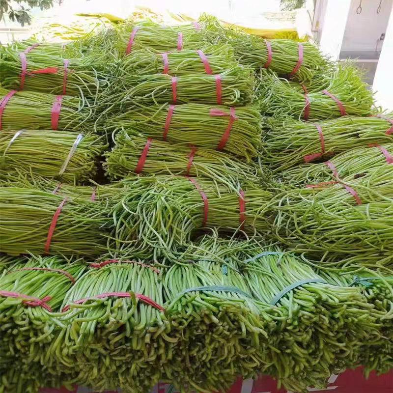 预售（红薯杆干货）可提供优质干货，质量有保障，放心，称心