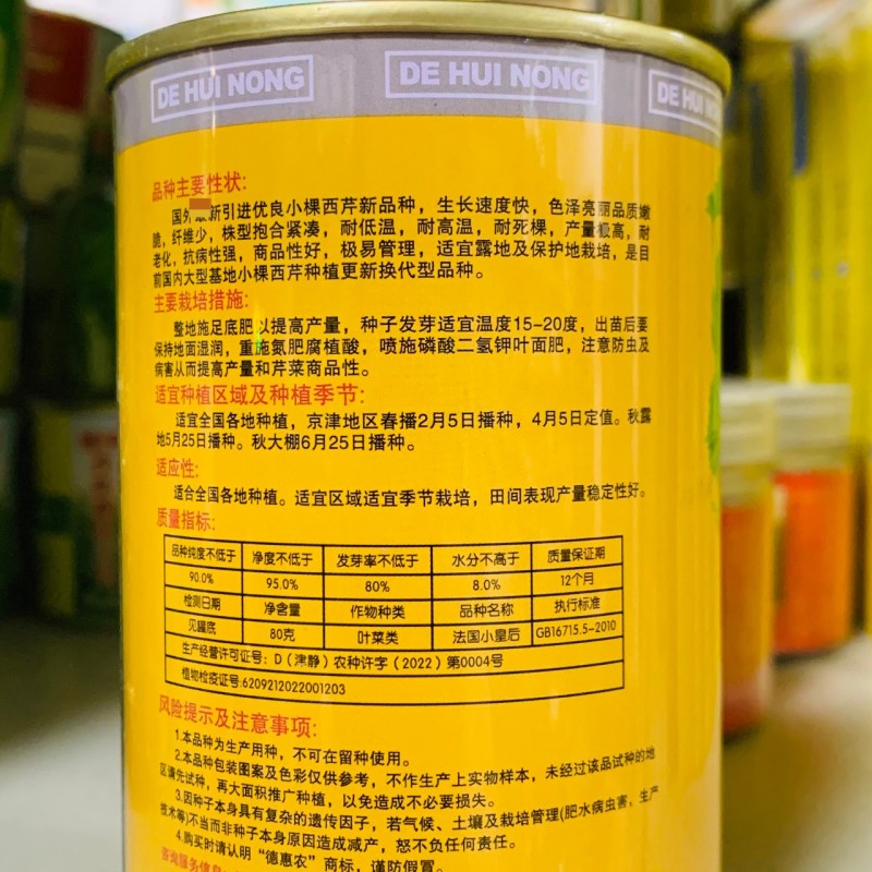 法国小皇后西芹菜种子耐热香芹菜小棵西芹种子四季蔬菜小香芹