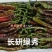 长研绿秀辣椒种子口感型牛角椒种子辣味适中质脆好吃辣椒品种