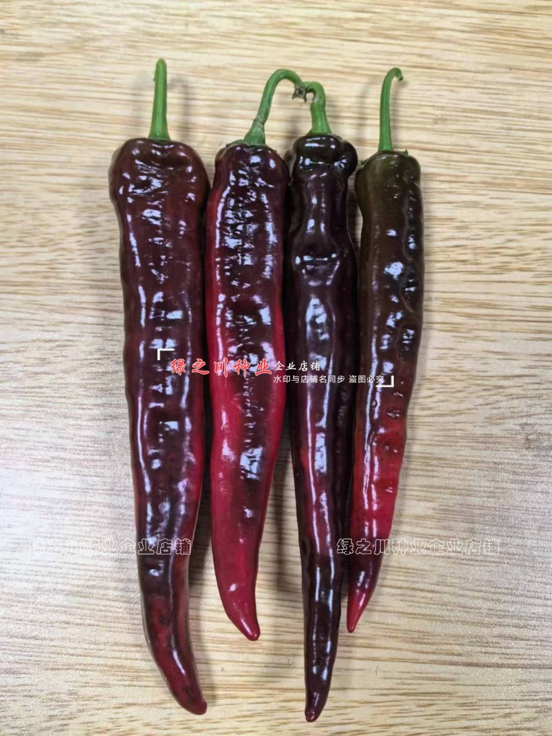 长研绿秀辣椒种子口感型牛角椒种子辣味适中质脆好吃辣椒品种