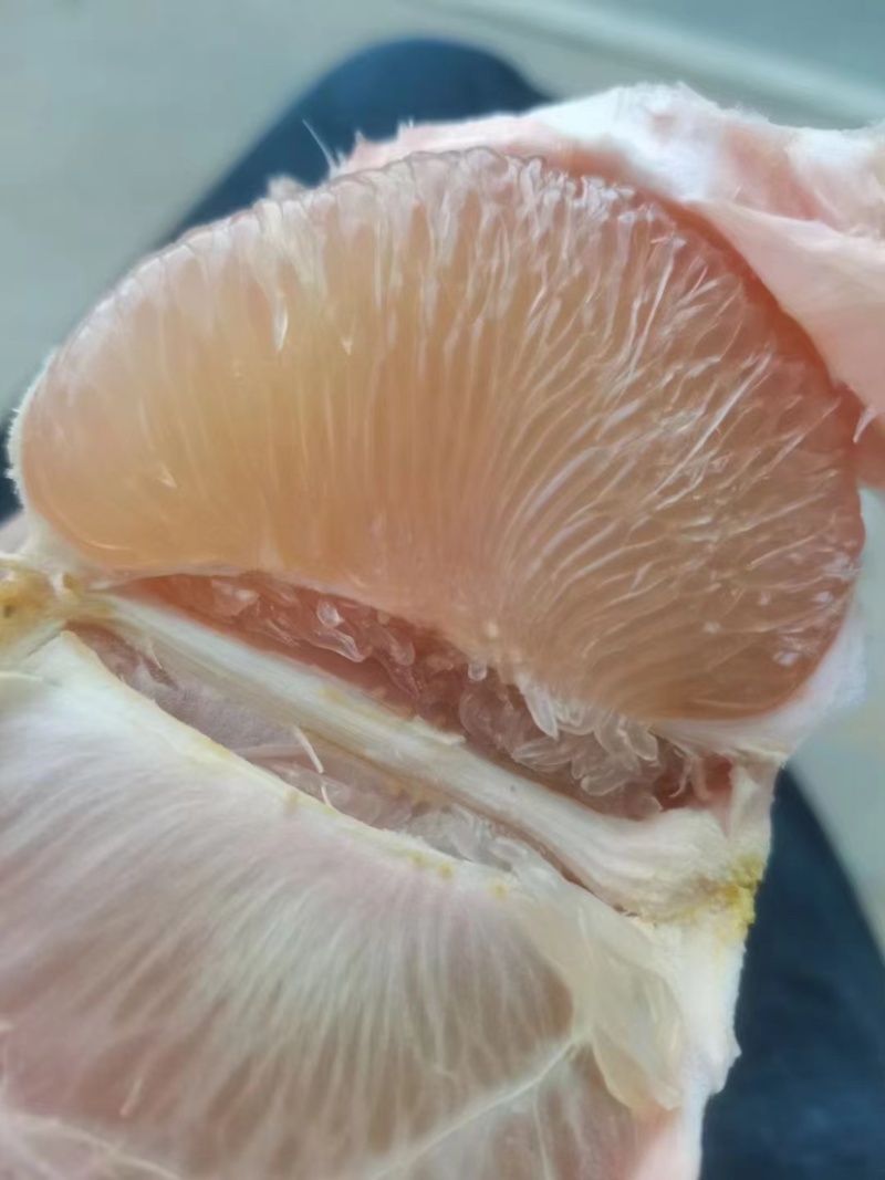 度尾红心文旦柚~自己果场~一件代发