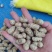 精选小白沙鲜花生，过筛子手选果，籽粒饱满代发全国各地