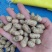 精选小白沙鲜花生，过筛子手选果，籽粒饱满代发全国各地
