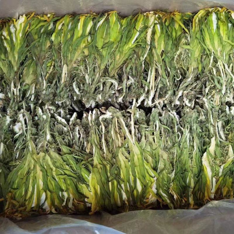 【实力推荐】鲜干霸王花、剑花产地直发可视频看货对接全国