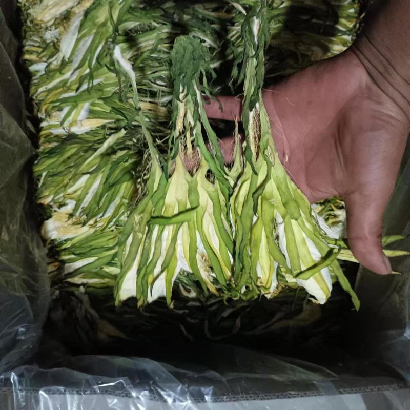 【实力推荐】鲜干霸王花、剑花产地直发可视频看货对接全国