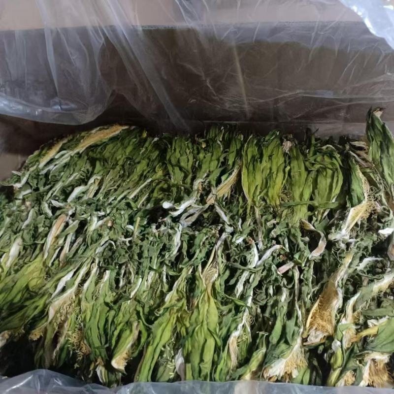 【实力推荐】鲜干霸王花、剑花产地直发可视频看货对接全国